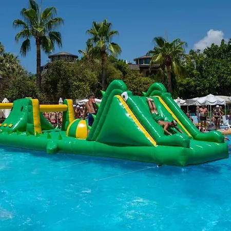 Palmeras Ultra Konakli
